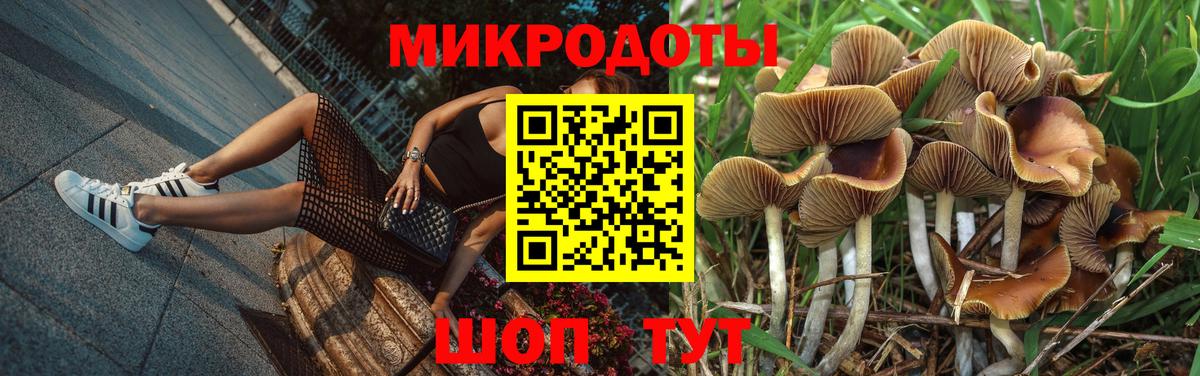 Галлюциногенные грибы Psilocybine cubensis Амурск